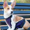 Comfortable and Breathable Little Apron