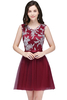 CARMEN A-line Short Pink Tulle Homecoming Dresses with Lace Appliques