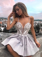 Classic Spaghetti Straps Homecoming Dresses Lace Appliques Cocktail Dresses