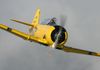 20 Minute Warbird Flight