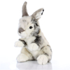 Bunny Rabbit