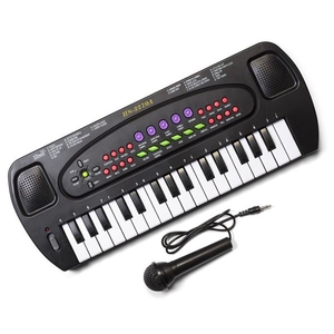 Electronic Keyboard and Microphone