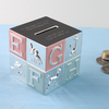 Engraved Pink and Blue Alphabet Money Box