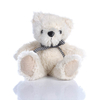 Floppy Bear