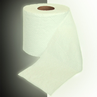 Glow in the Dark Toilet Roll