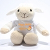 Personalised Easter Lamb Soft Toy