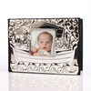 Silver Plated Noah