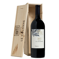 Bolgheri Rosso Doc 2017 Magnum