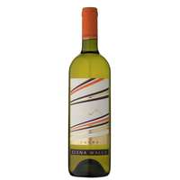Vino Bianco Ewa 2021
