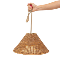 Callie Battery Operated LED Outdoor Pendant Feature Light - Rattan