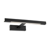 Neptunus 38 LED Picture Light - Black