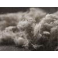 Asbestos Awareness