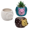 Hedgehog Ceramic Flowerpots (Box of 2) Nature Craft Kits