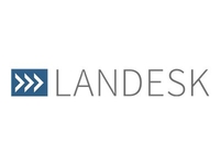 LANDesk Professional Services - technical support - for LANDesk System and Security Manager