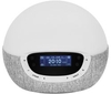 LUMIE Bodyclock Shine 300