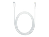 Apple Lightning to USB-C Cable (1m)