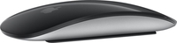 Apple Magic Mouse with Multi-Touch Surface,  Black