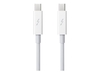 Apple Thunderbolt Cable 0.5m