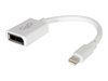 C2G 15cm Mini DisplayPort Male to DisplayPort Female Adapter Converter - White