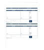 Custom Forms Pegasus Capital/Opera Payslips (Pack of 500)