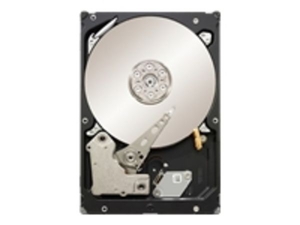 Seagate Constellation ES 1TB 3.5" SAS 7200RPM Hard Drive