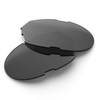 100% Westcraft Replacement Lenses Dual - Smoke